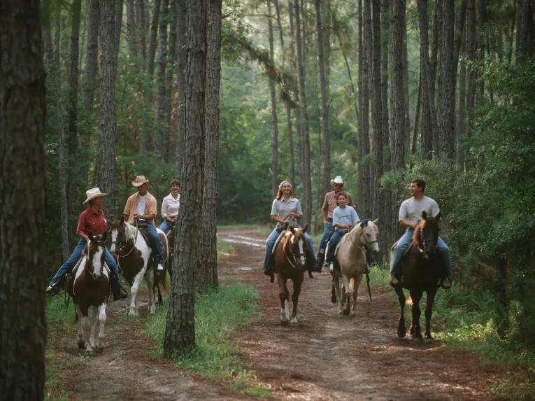 The Cabins at Disney's Fort Wilderness Resort 