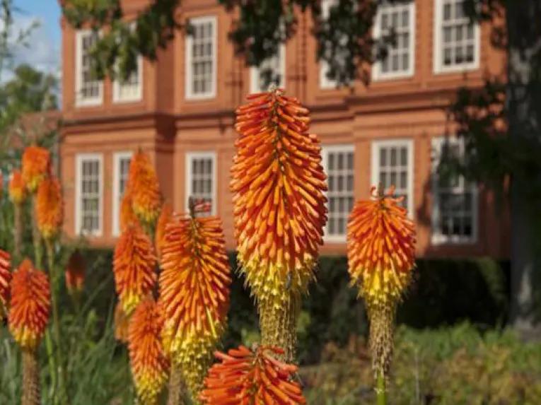 Kew Gardens and Kew Palace Ticket