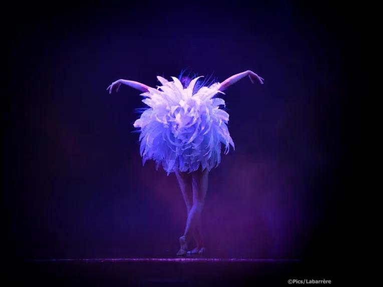 Lido de Paris Dinner and Show Tickets
