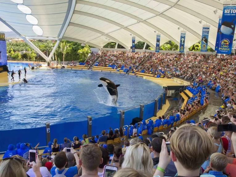 Loro Parque One Day Ticket