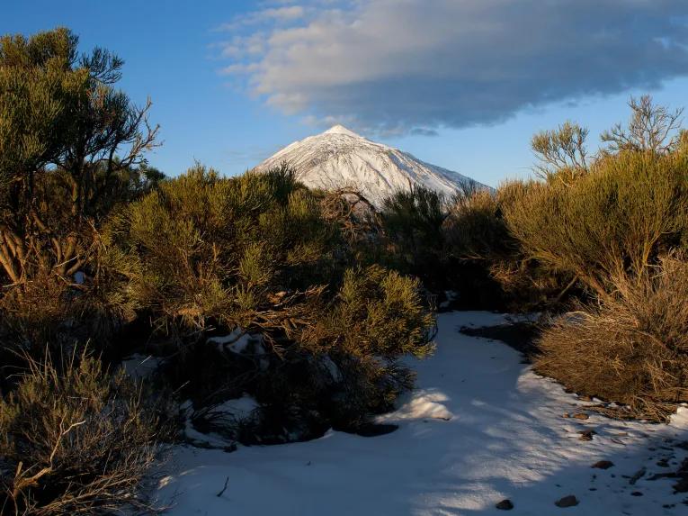 Mount Teide & Las Cañadas National Park