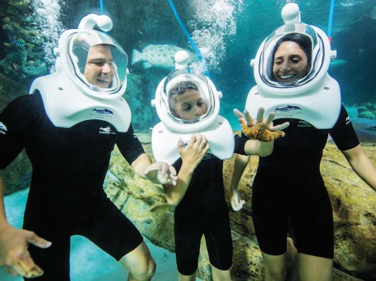 SeaVenture underwater walking tour at Discovery Cove