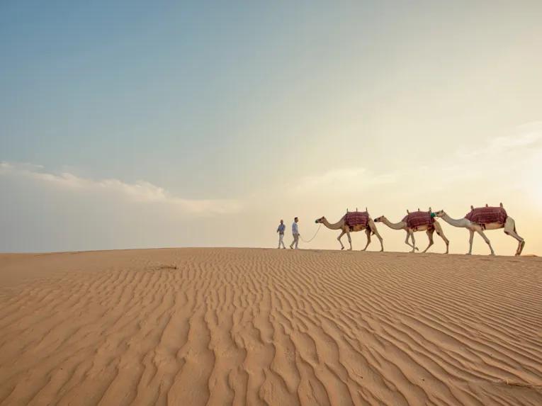 Dubai Desert Safari and Sunset Barbecue 