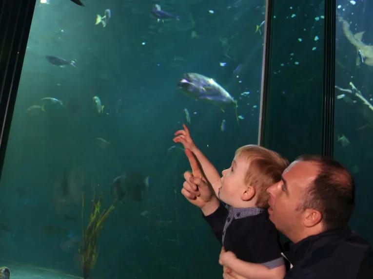 SEA LIFE Blackpool