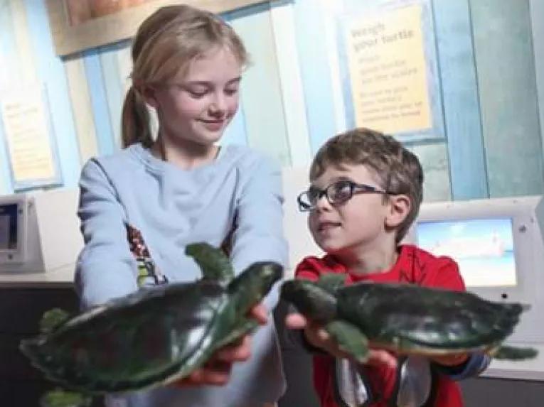 SEA LIFE Blackpool