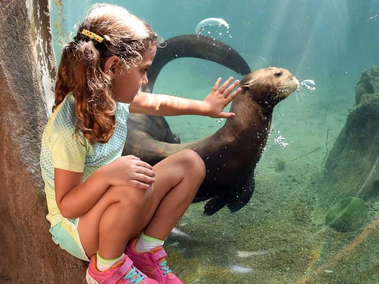 Zoo Miami