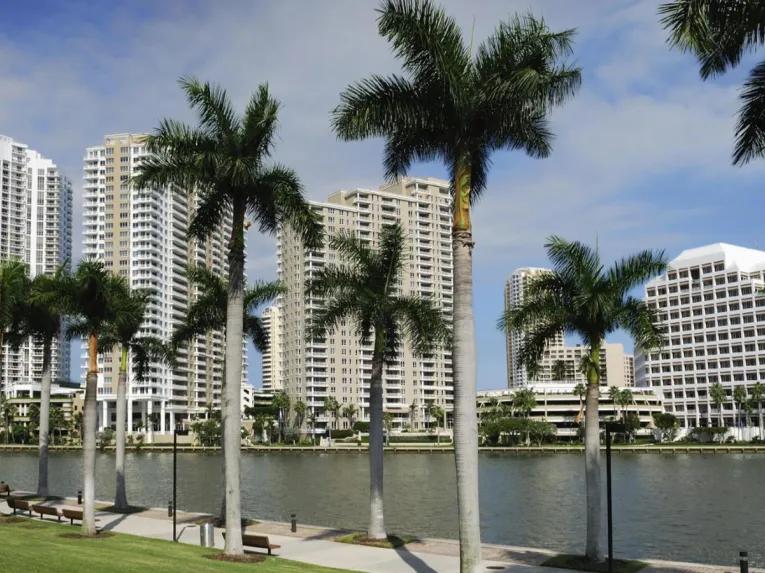 Everglades Airboat Adventure and Miami City Tour