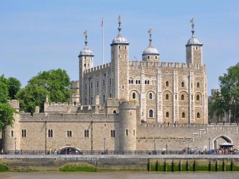 Superbloom at Tower of London and entry to Tower of London