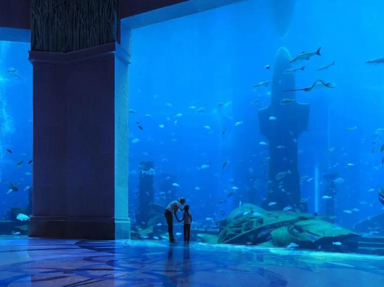 The Lost Chambers Aquarium in Dubai