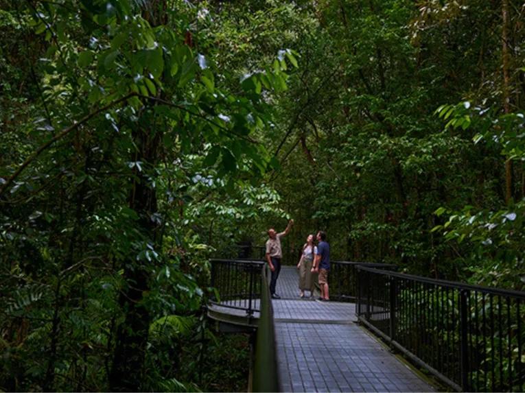 Cape Tribulation & Daintree Adventure from Port Douglas
