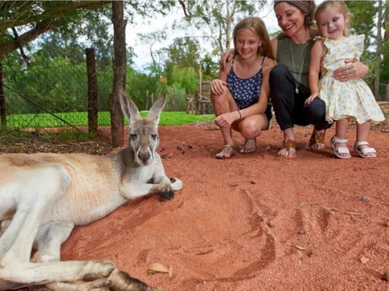 Melbourne Zoo 