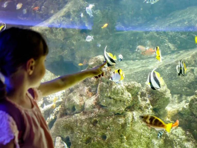Barcelona Aquarium