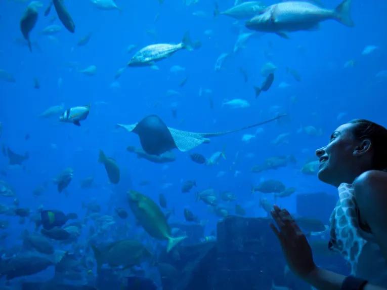 Barcelona Aquarium
