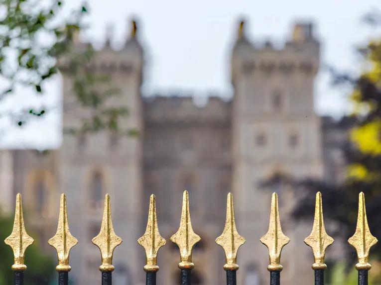 Windsor Discovery 