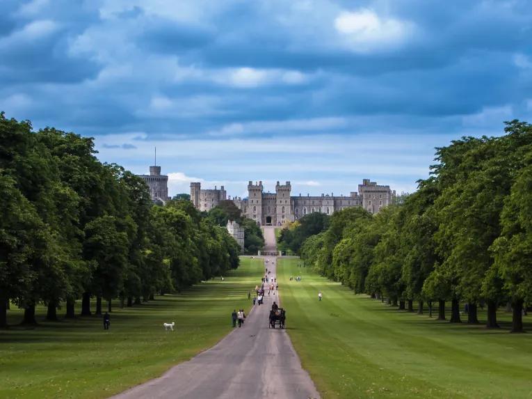 Windsor Discovery