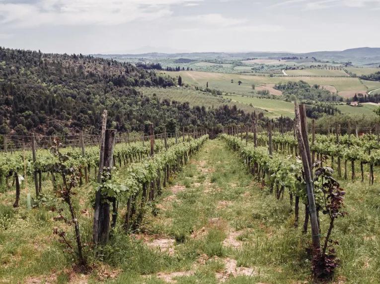 Tuscany