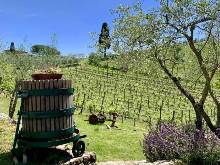 Chianti Tour: Wine Experience in Chianti Hills & Radda in Chianti from Florence