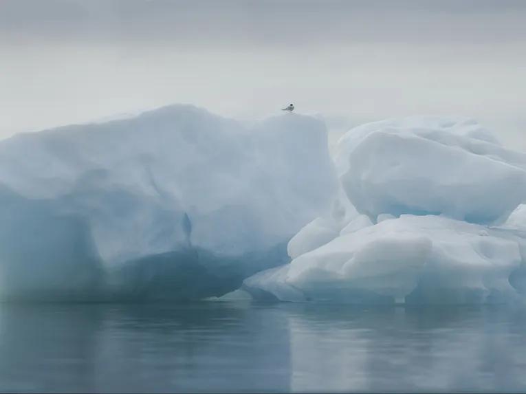Glacial Lagoon