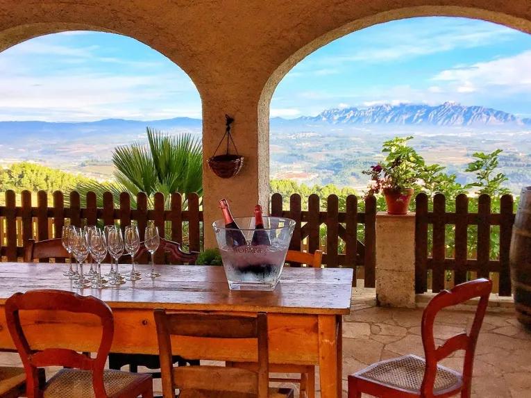 view-of-vineyard