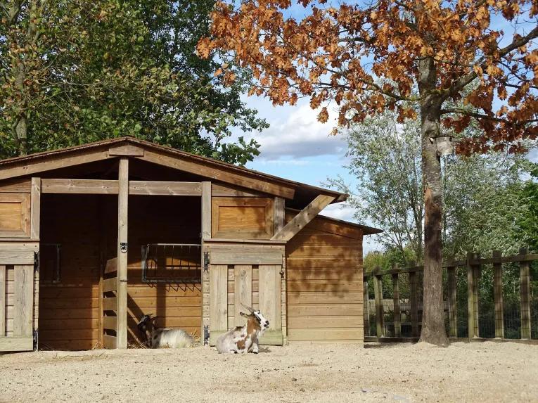 Farm animals at Campanile Val de France