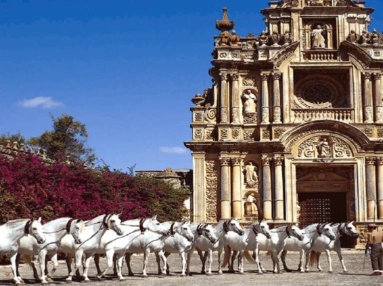 White-horses