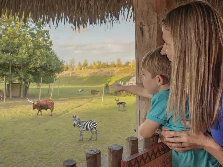 chessington-safari