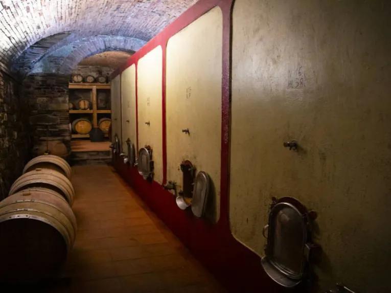 wine-cellar