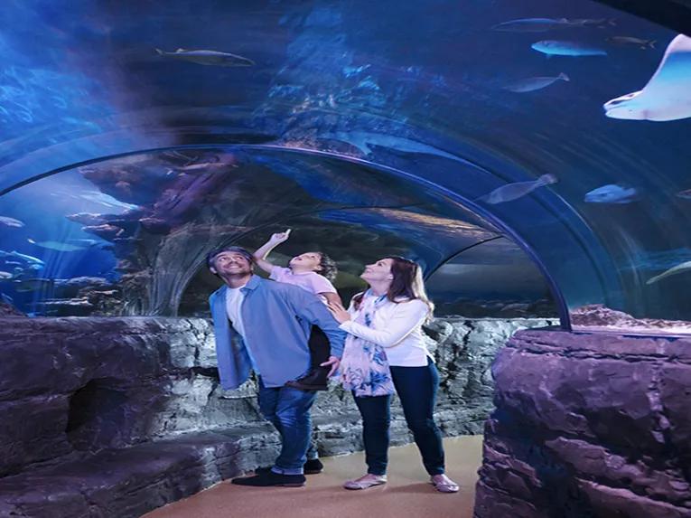 SEALIFE