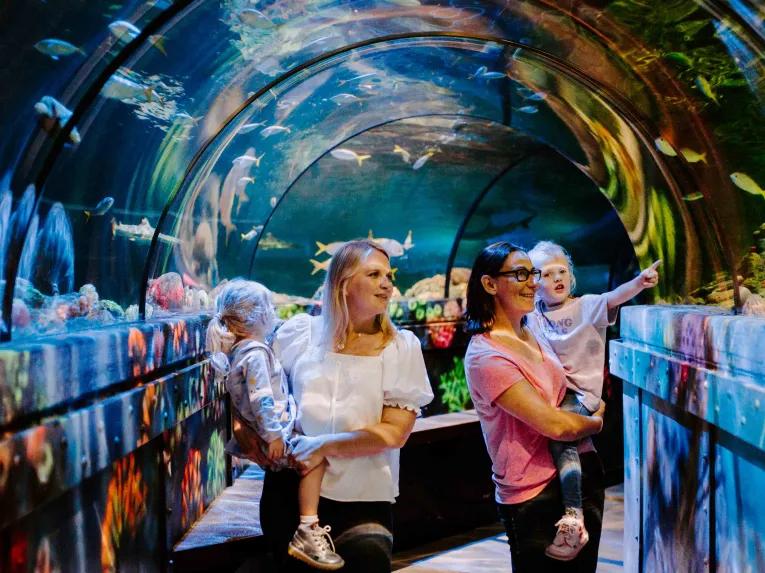 Sea Life Brighton