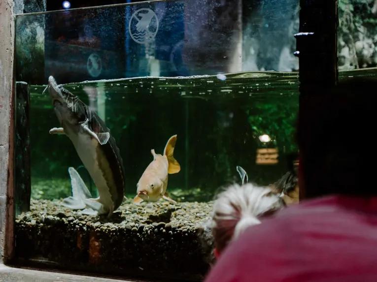 Sea Life Brighton