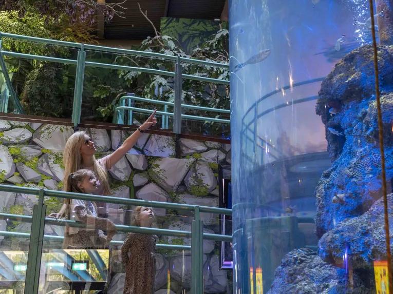 Sealife Bir