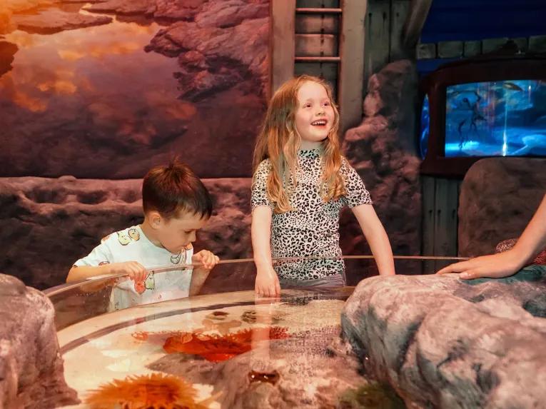 Sea Life GY