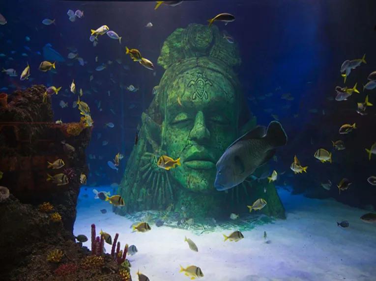 underwater