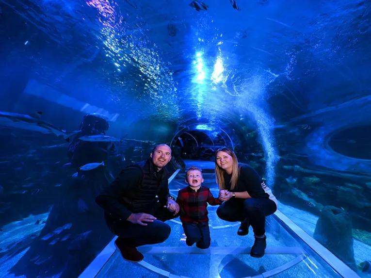 Sealife-tunnel