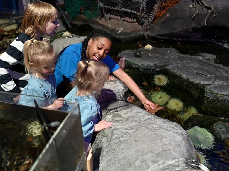 Sea Life Birmingham
