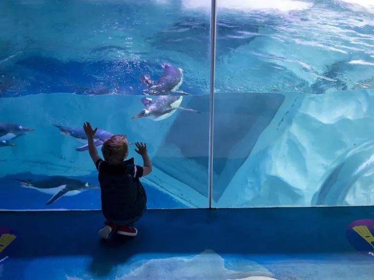 Sea Life Birmingham 