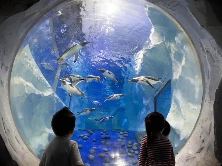Sea Life Birmingham 
