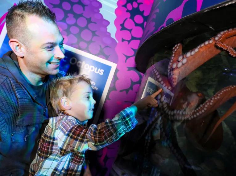 Sea Life Birmingham 