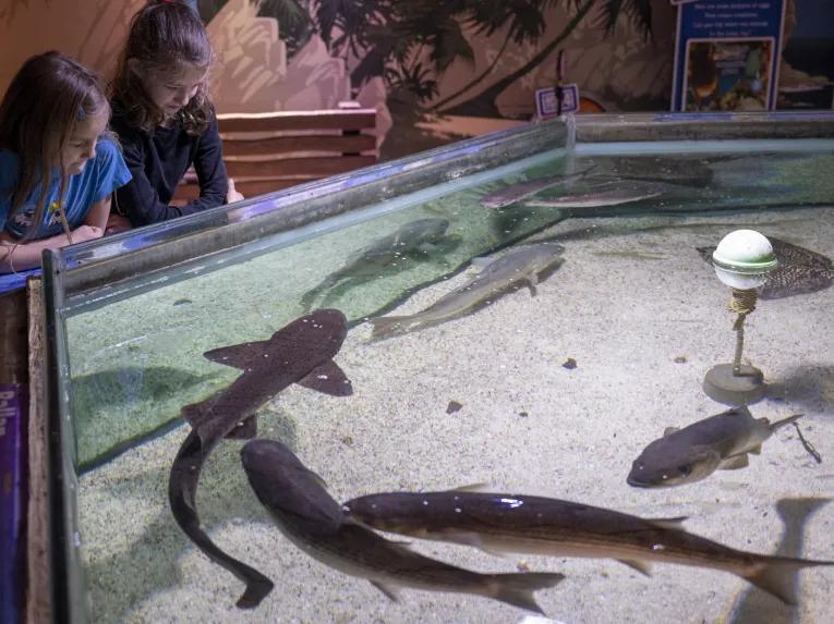 Sea Life Birmingham 