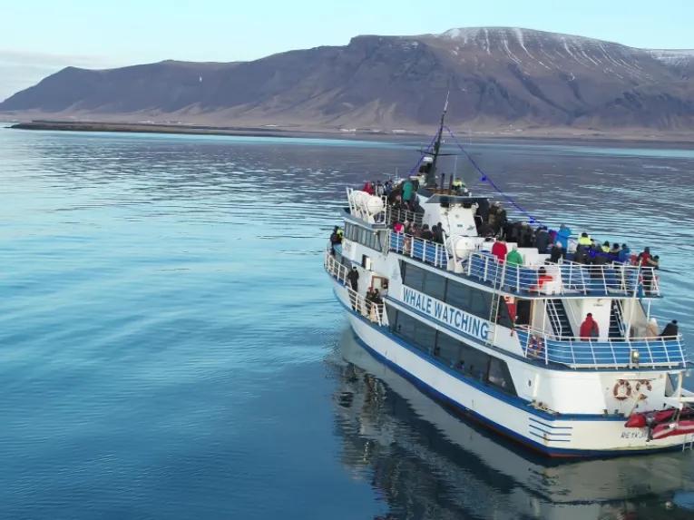 whale-watching-boat-on-water