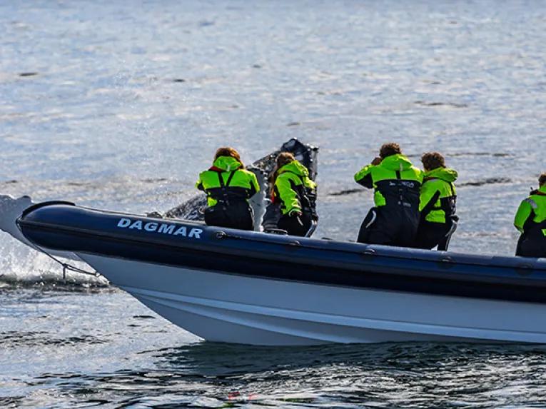 RIB Boat