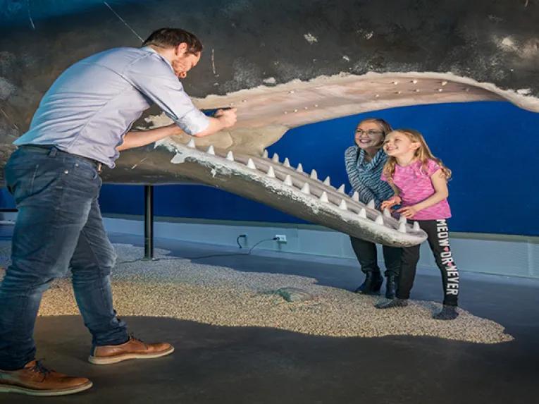 Whales teeth