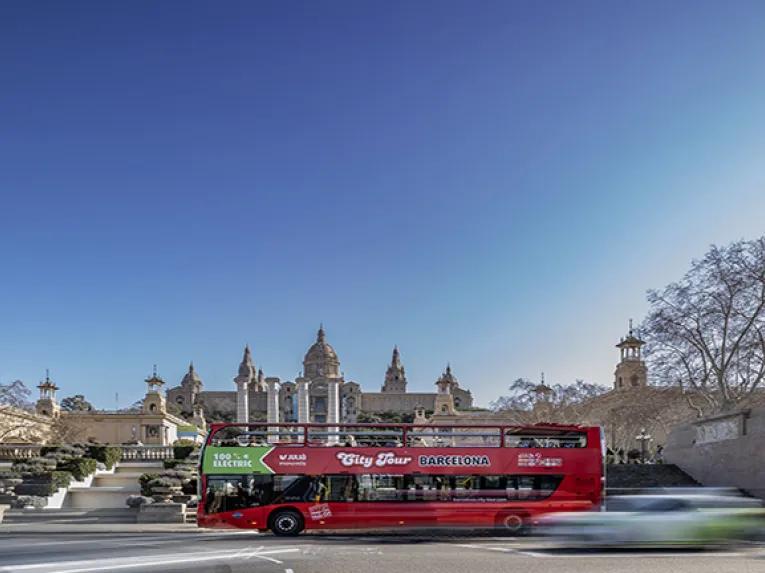 Sightseeing by bus