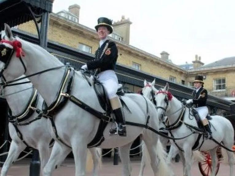 Royal Mews Horse Drawn Carriage