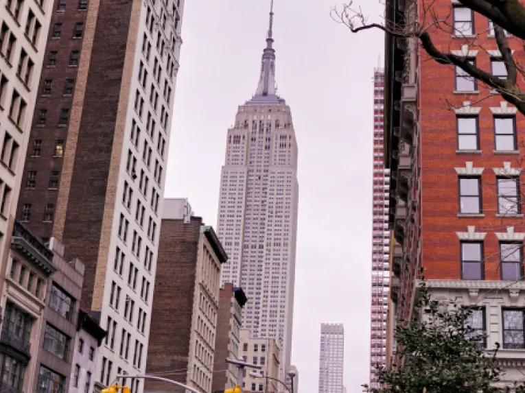 The Manhattan Tour
