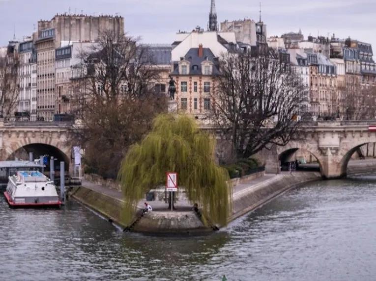 Guided Notre Dame Cathedral Tour and Seine River Cruise