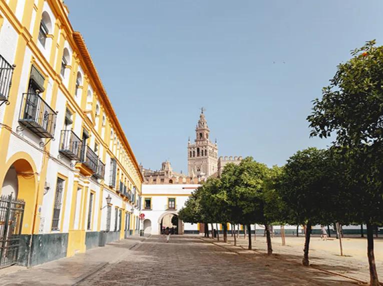 Outside the Alcazar