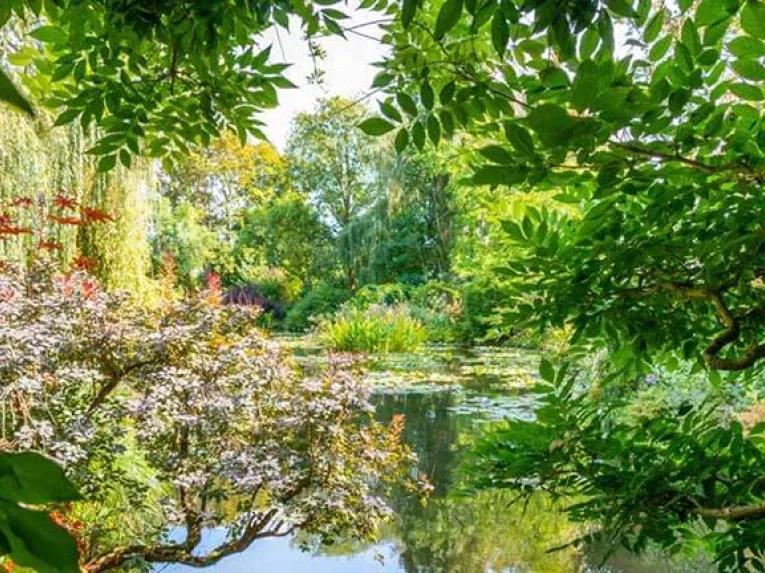 Pond