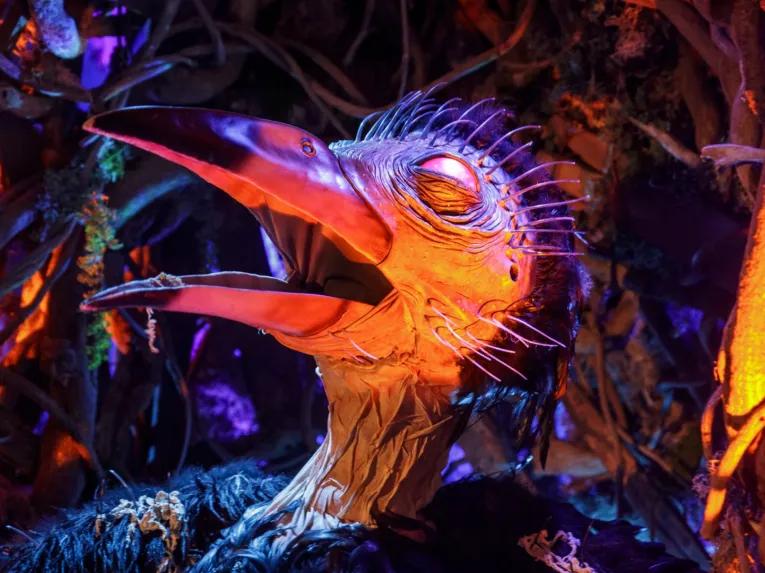 hhn