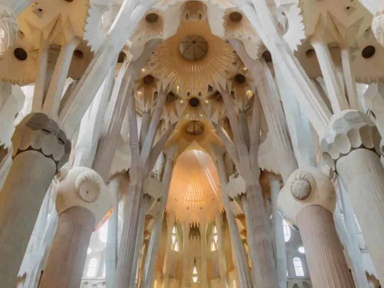 Gaudi Highlights Tour with Casa Batlló & Sagrada Familia